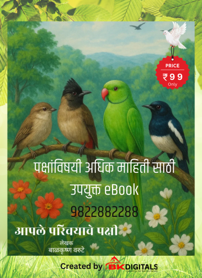 Add a subheading (4)